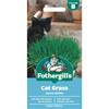 CAT GRASS AVENA SATIVA