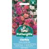 CLARKIA CHOICE DOUBLE MIX