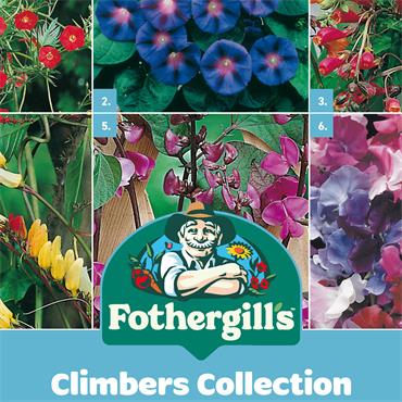 CLIMBERS COLLECTION