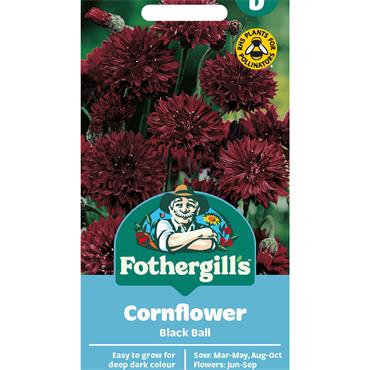 CORNFLOWER BLACK BALL