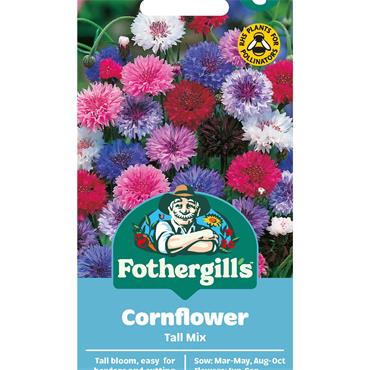 CORNFLOWER TALL MIX
