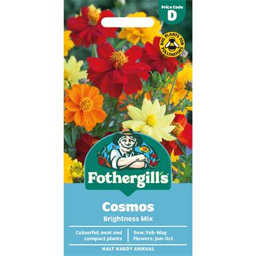 COSMOS BRIGHTNESS MIX