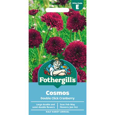COSMOS DOUBLE CLICK CRANBERRY