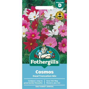 COSMOS DWARF SENSATION MIX