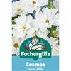 COSMOS PSYCHE WHITE
