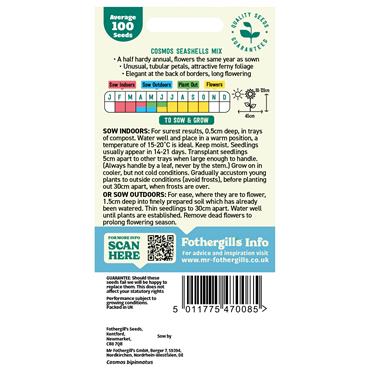 COSMOS SEASHELLS MIX