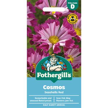 COSMOS SEASHELLS RED