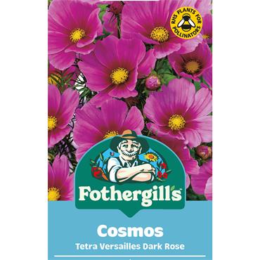 COSMOS TETRA VERSAILLES DARK ROSE