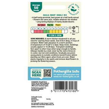 DAHLIA DWARF DOUBLE MIX