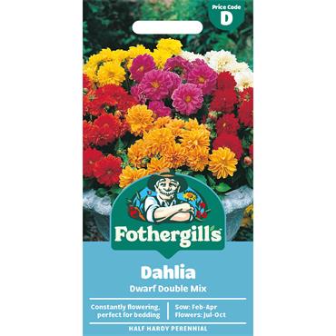 DAHLIA DWARF DOUBLE MIX