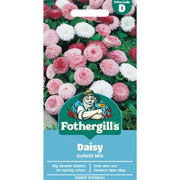 DAISY GOLIATH MIX