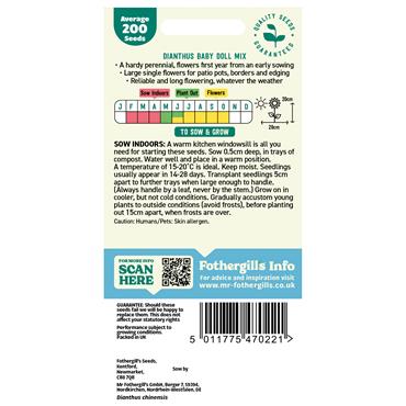DIANTHUS BABY DOLL MIX