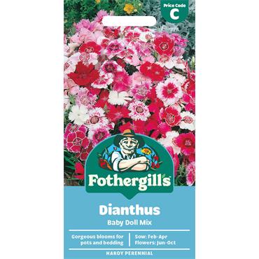 DIANTHUS BABY DOLL MIX