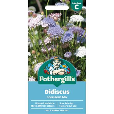 DIDISCUS COERULEUS MIX