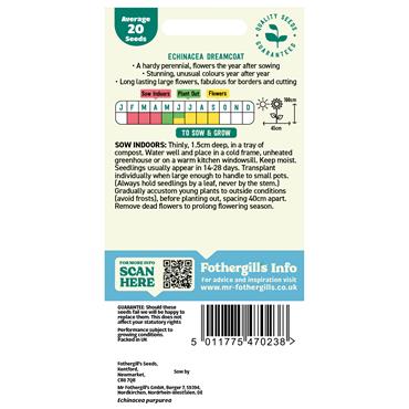 ECHINACEA DREAMCOAT