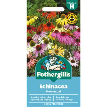 ECHINACEA DREAMCOAT