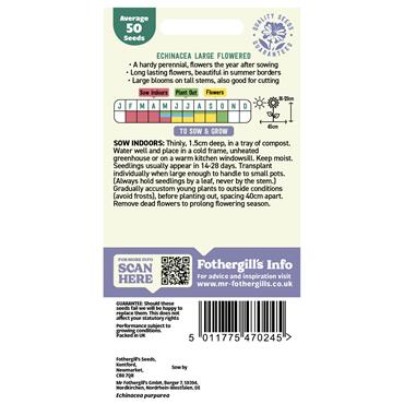 ECHINACEA LARGE FLOWERED