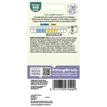 FLAX (LINUM) SCARLET