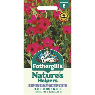 FLAX (LINUM) SCARLET