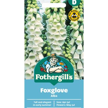 FOXGLOVE ALBA