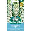 FOXGLOVE ALBA
