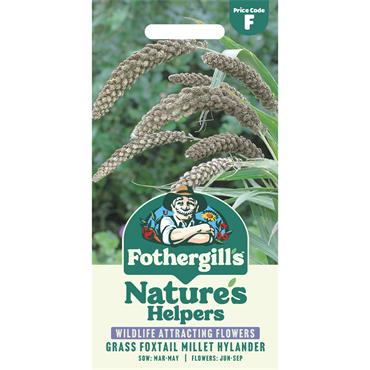 GRASS FOXTAIL MILLET (SETARIA) HYLANDER