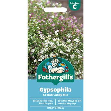 GYPSOPHILA COTTON CANDY MIX