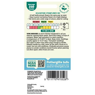 HELICHRYSUM STRAWFLOWER MIX