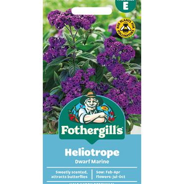 HELIOTROPE DWARF MARINE