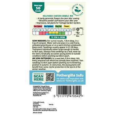 HOLLYHOCK CHATERS DOUBLE MIX