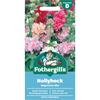 HOLLYHOCK MAJORETTE MIX