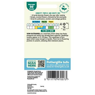 HONESTY PURPLE AND WHITE MIX