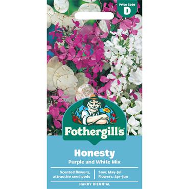 HONESTY PURPLE AND WHITE MIX