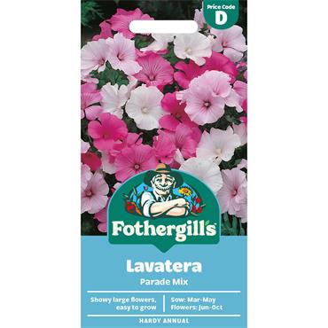 LAVATERA PARADE MIX