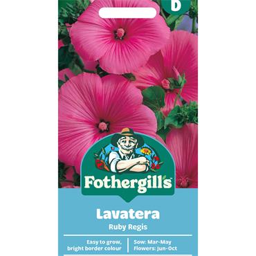 LAVATERA RUBY REGIS