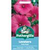 LAVATERA RUBY REGIS