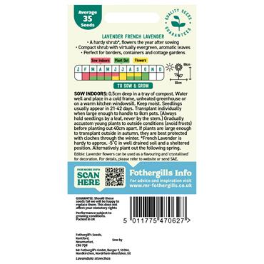 LAVENDER FRENCH LAVENDER