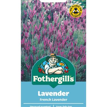 LAVENDER FRENCH LAVENDER