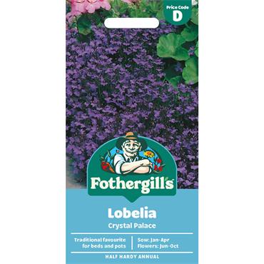 LOBELIA CRYSTAL PALACE