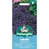 LOBELIA CRYSTAL PALACE