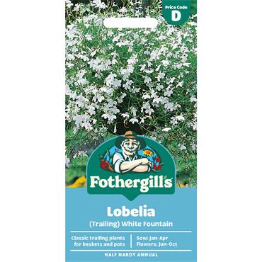LOBELIA (TRAILING) WHITE FOUNTAIN