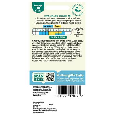 LUPIN AVALUNE BICOLOUR MIX