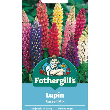 LUPIN RUSSELL MIX