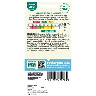 MARIGOLD (AFRICAN) CRACKERJACK MIX