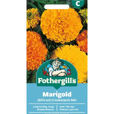 MARIGOLD (AFRICAN) CRACKERJACK MIX