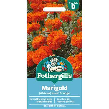 MARIGOLD (AFRICAN) KEES' ORANGE