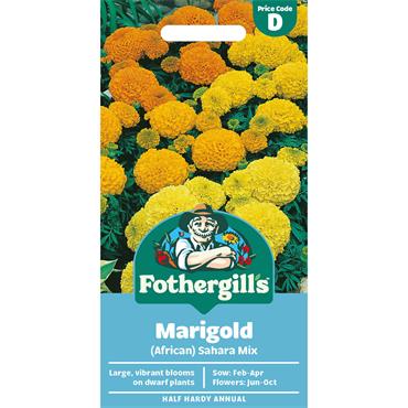 MARIGOLD (AFRICAN) SAHARA MIX