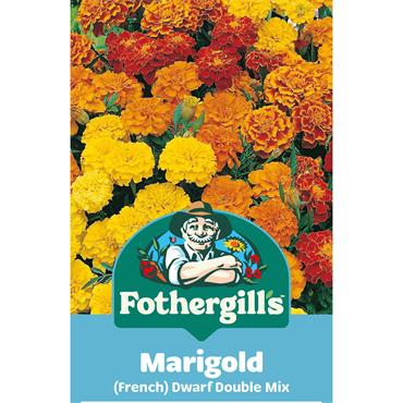 MARIGOLD (FRENCH) DWARF DOUBLE MIX