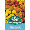 MARIGOLD (FRENCH) DWARF DOUBLE MIX