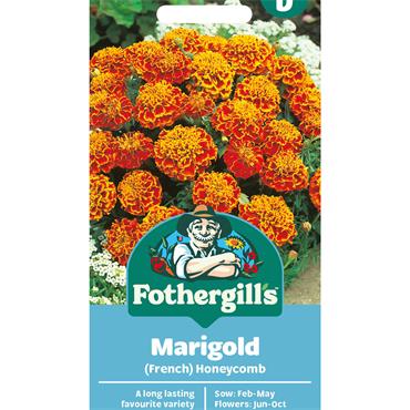 MARIGOLD (FRENCH) HONEYCOMB